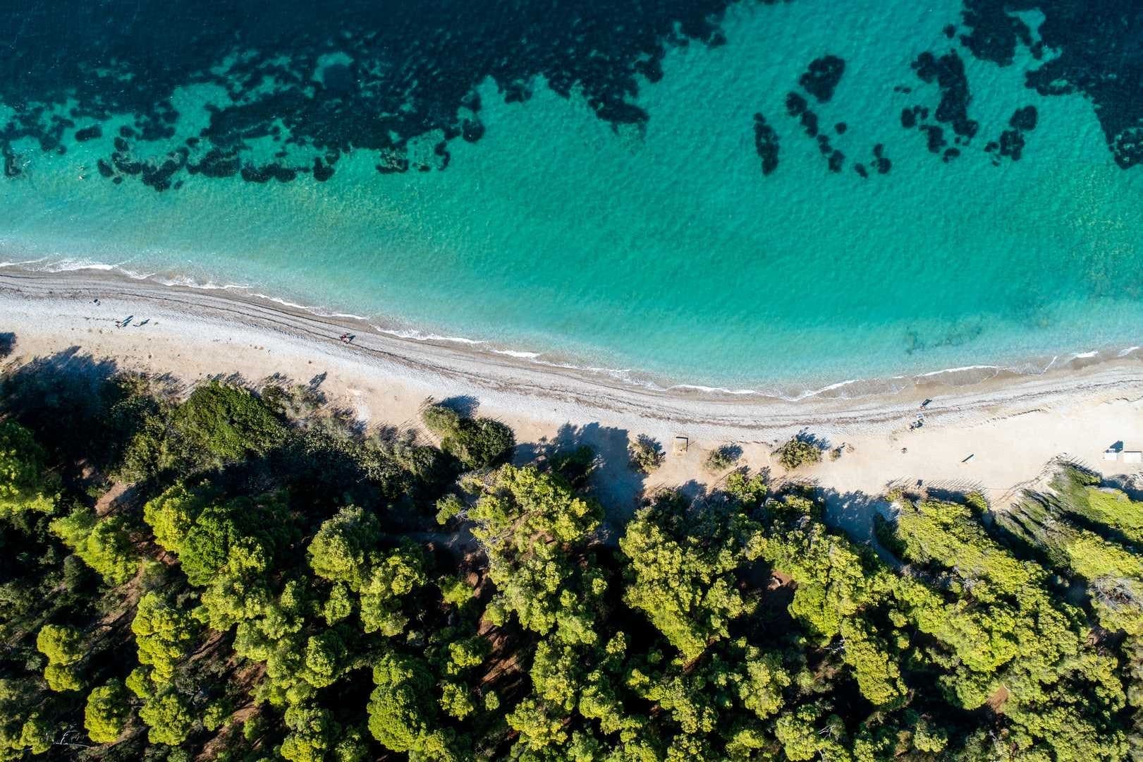Pefkias coastal pine forest and beach in Xylokastro, Corinthia, Greece